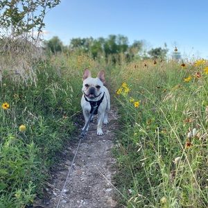 Meet your Posher, Bethany